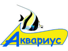 Фото новости