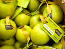 Фото новости