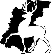 Фото новости