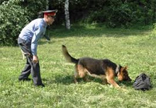 Фото новости