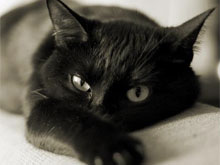 Фото новости